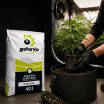 Galamio Anzuchterde Torfhaltig 40 l x 42 Sack – Bild 3